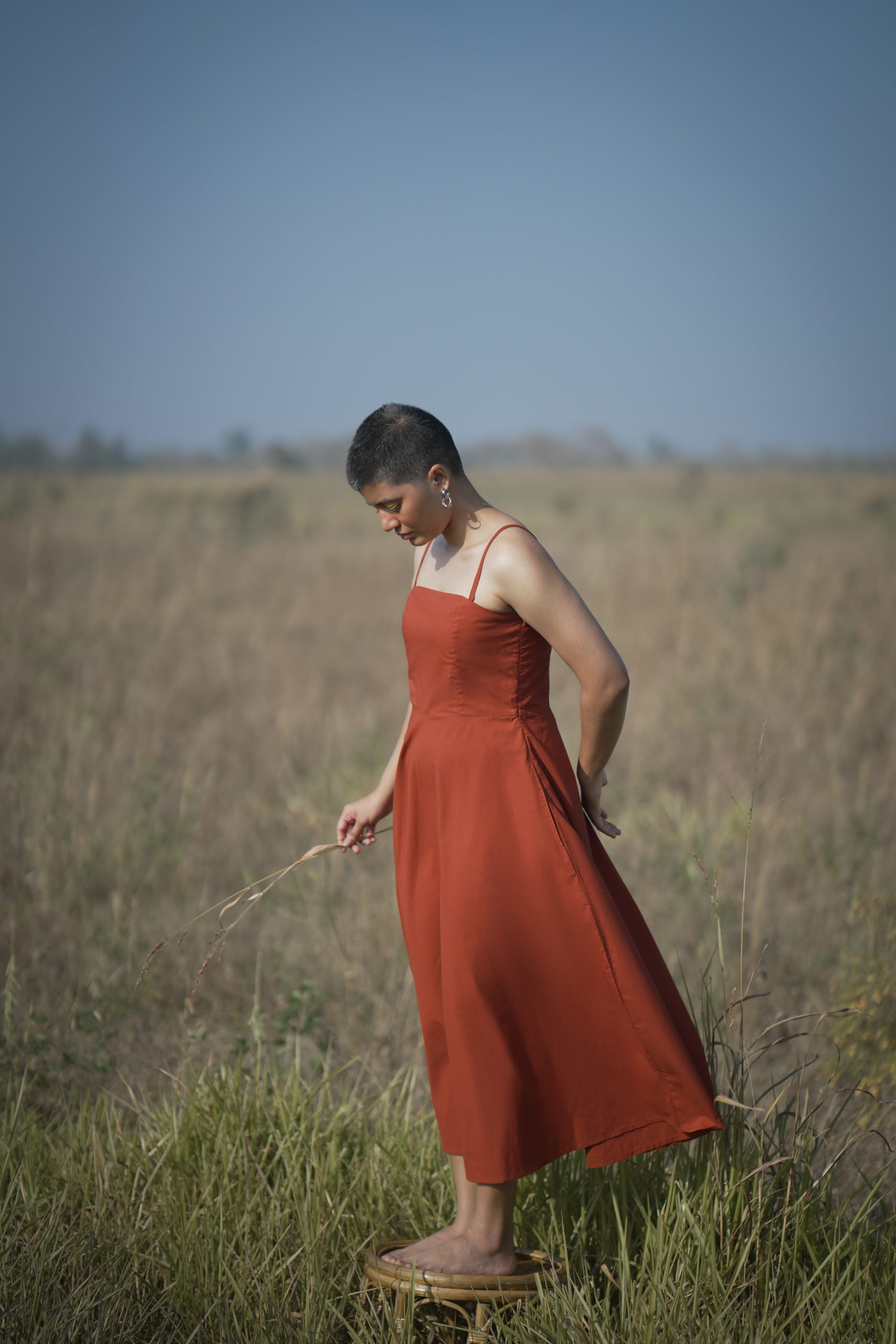 Oolong Opulence Oolong Opulence