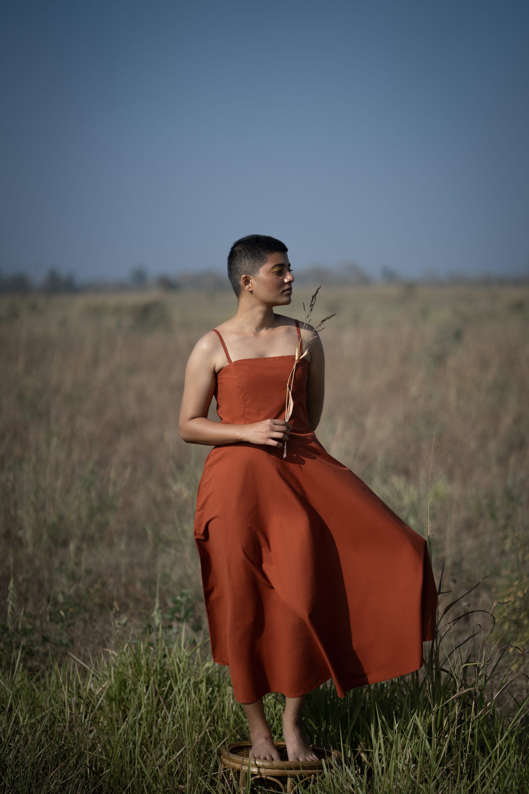 Oolong Opulence Oolong Opulence