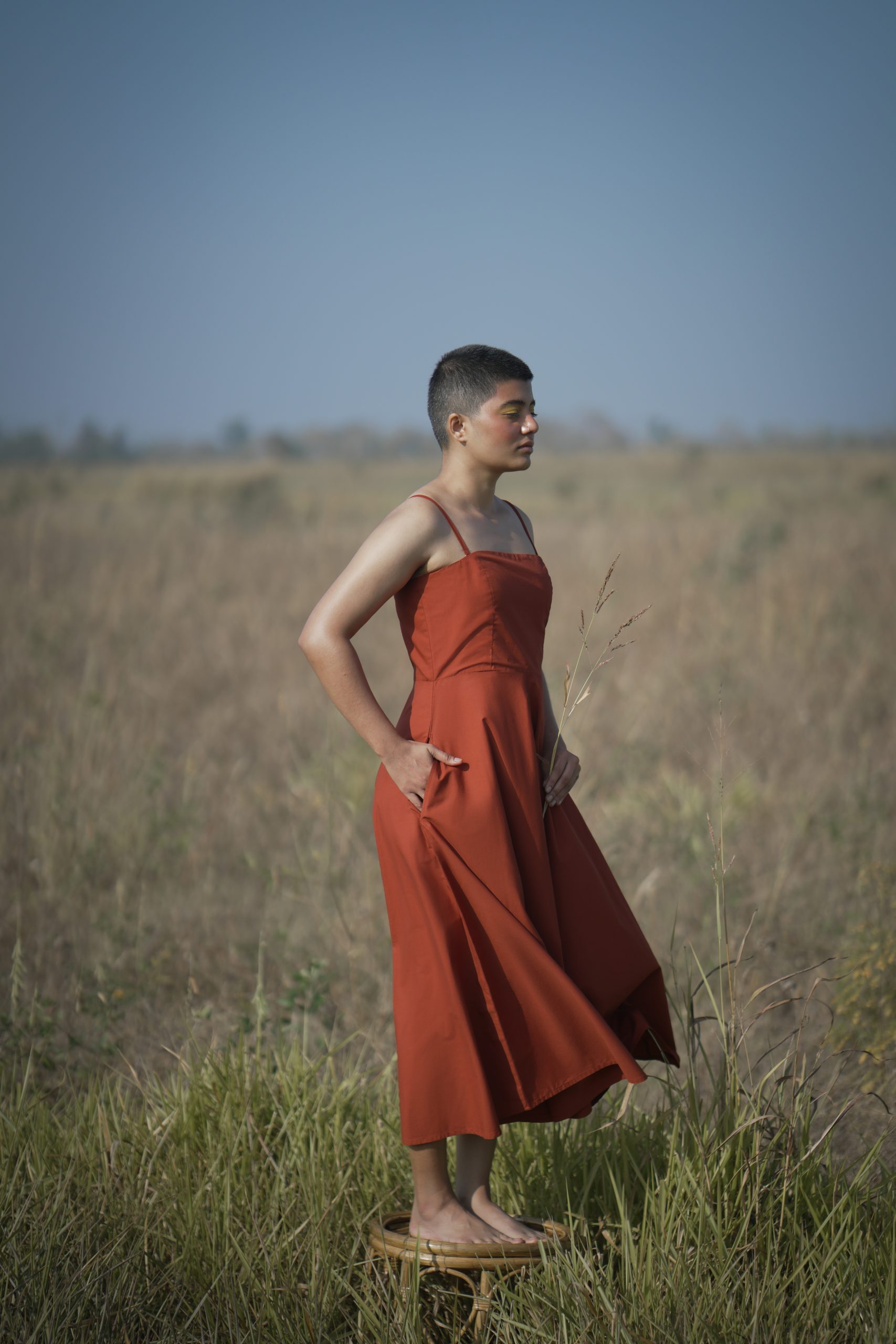 Oolong Opulence Oolong Opulence