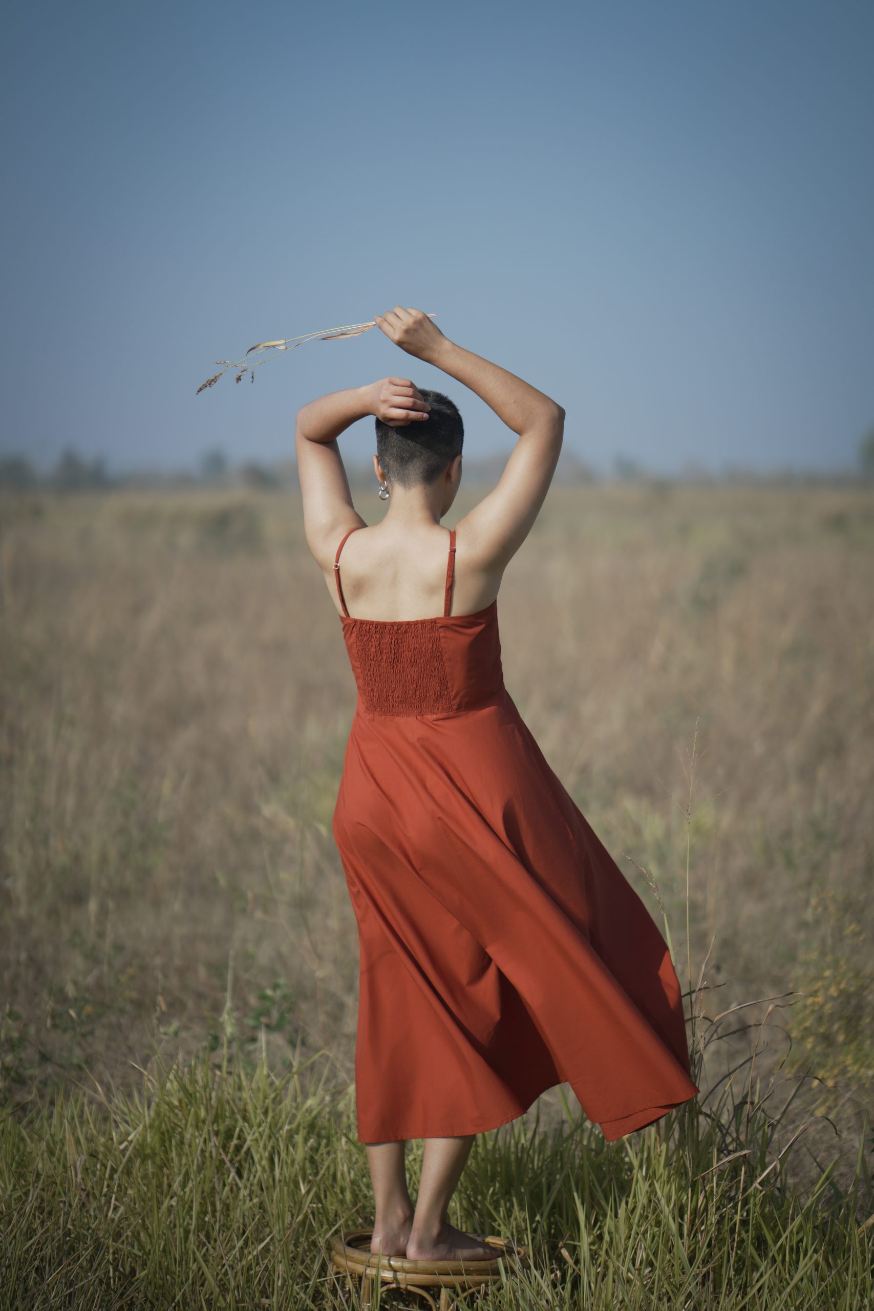 Oolong Opulence Oolong Opulence