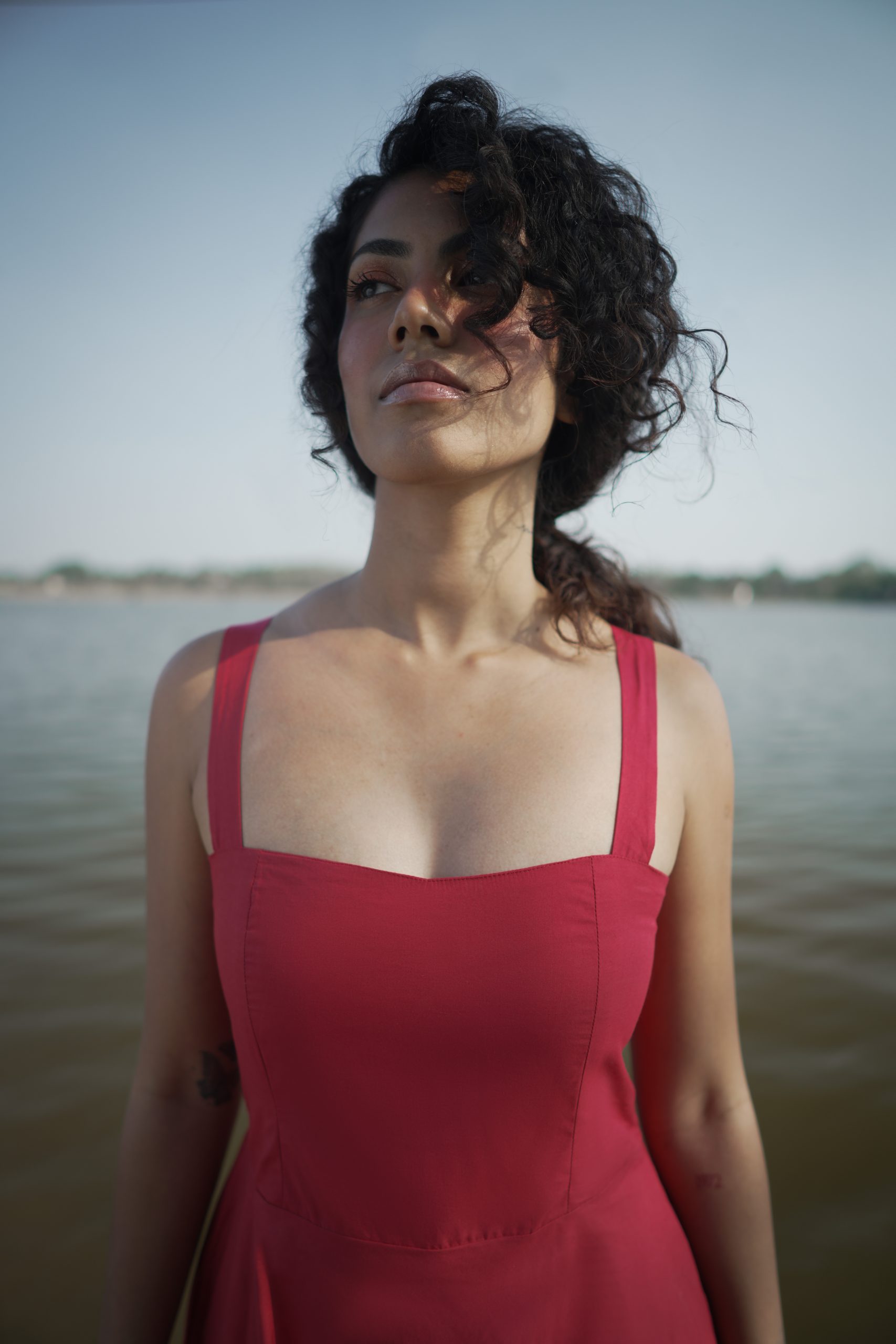 Crimson Cinnamon Crimson Cinnamon