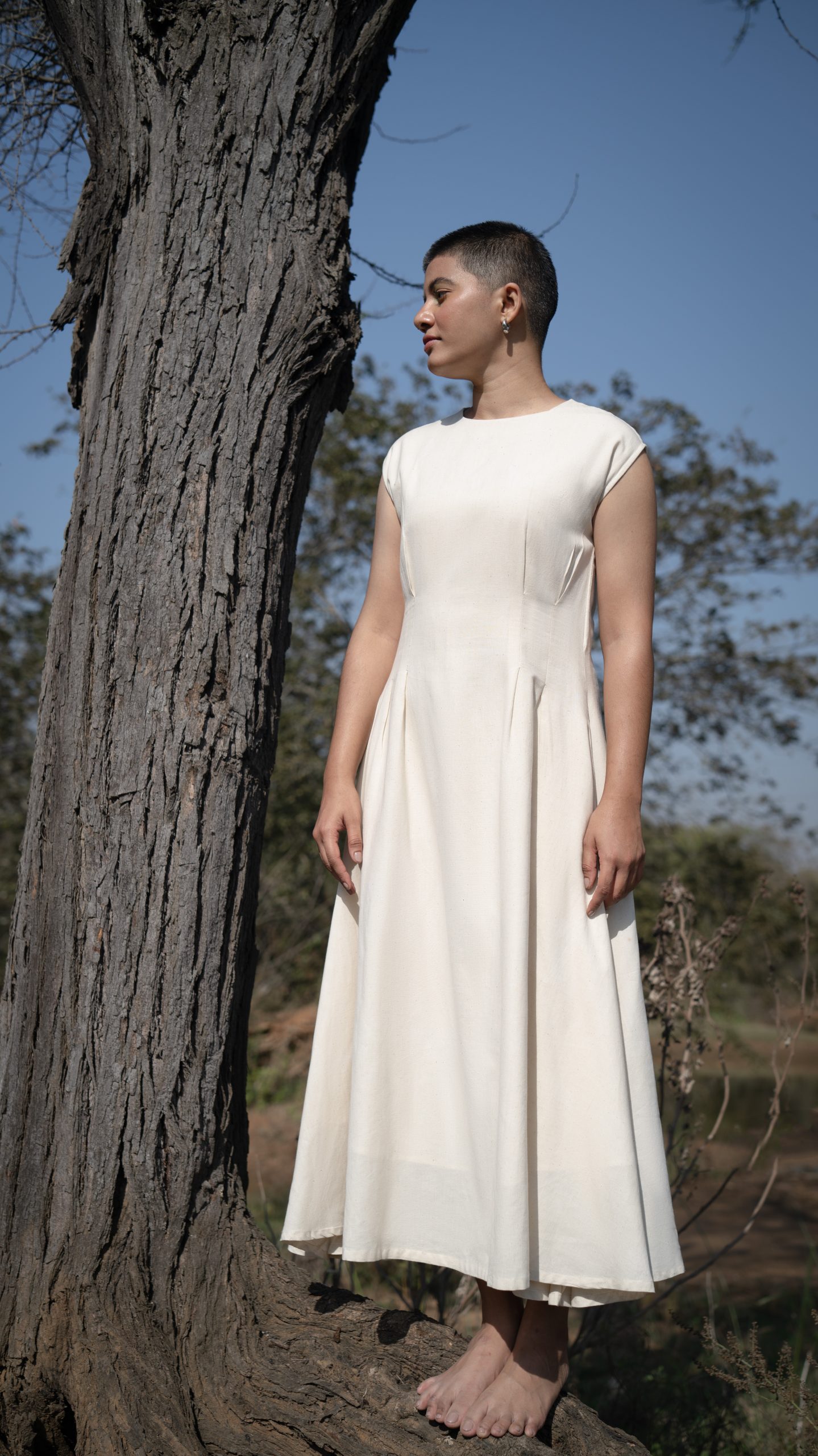 Chamomile Calm Chamomile Calm