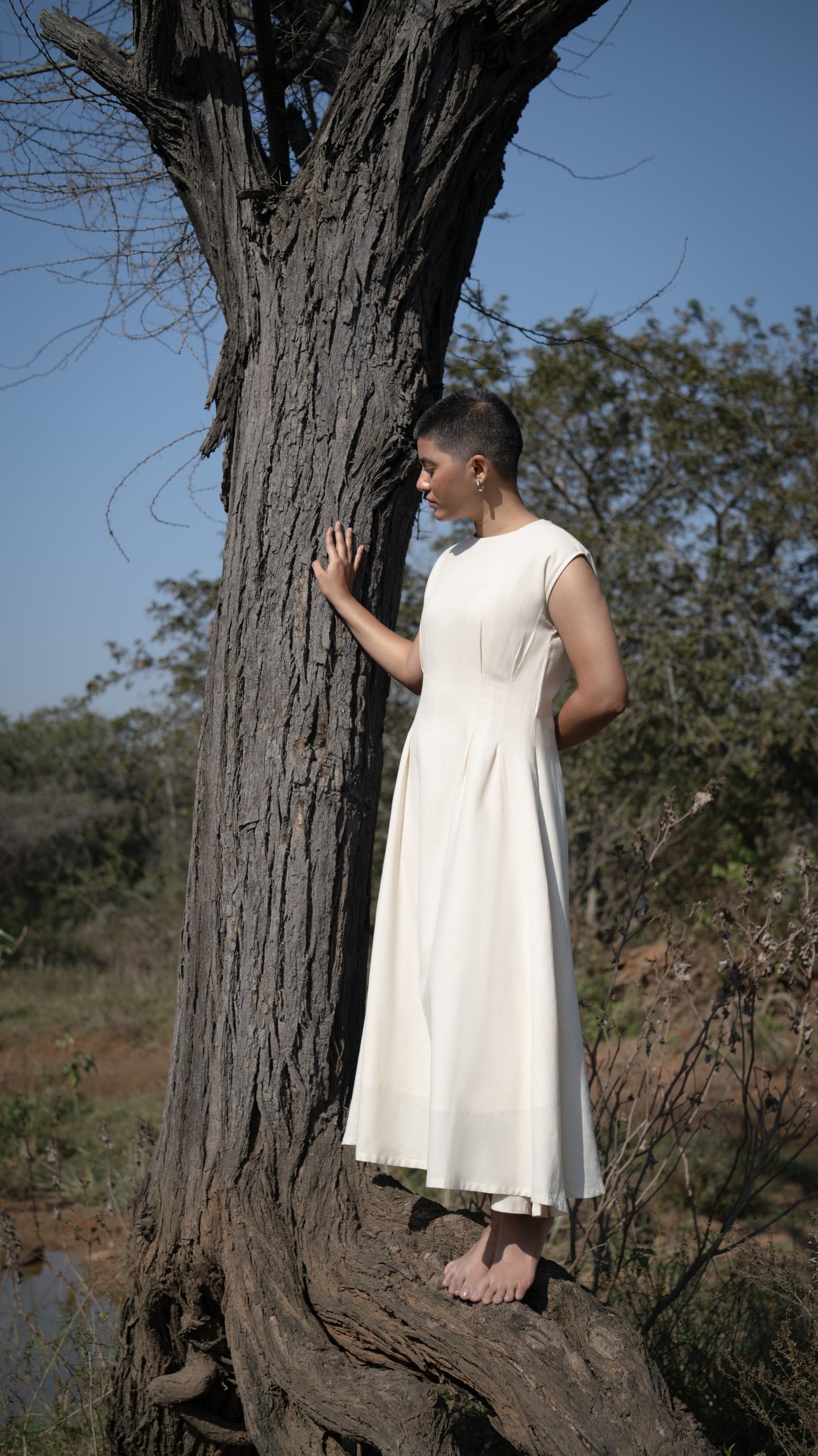 Chamomile Calm Chamomile Calm