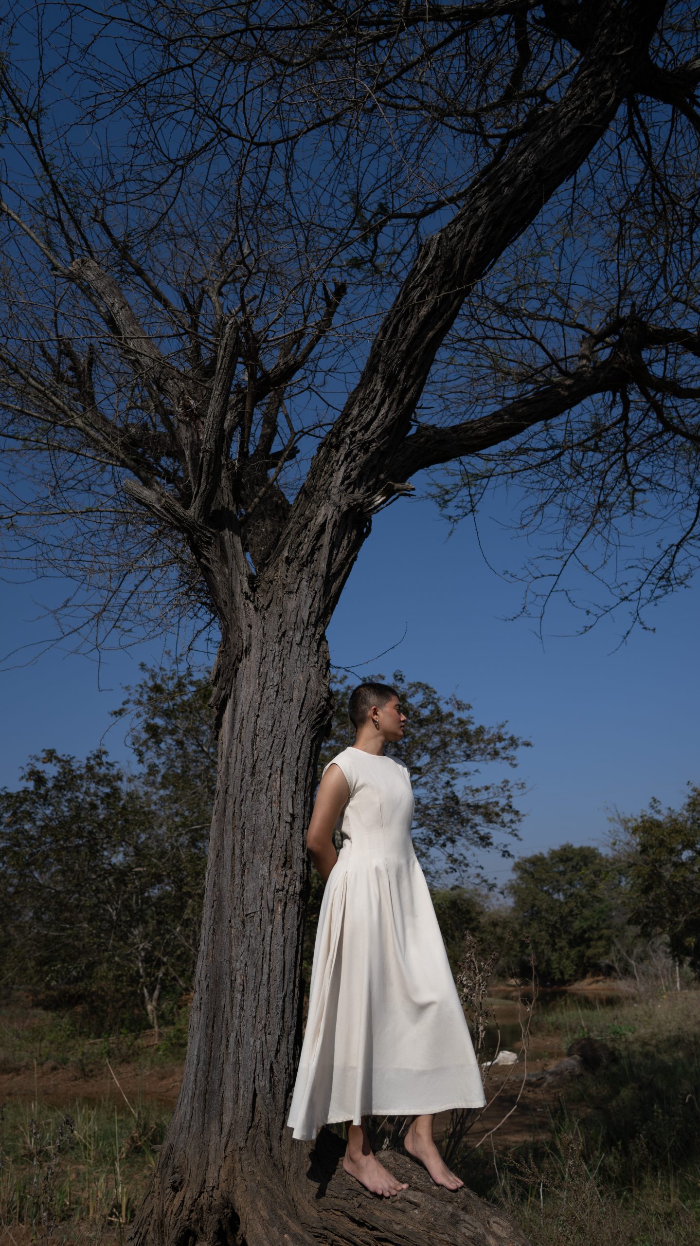 Chamomile Calm Chamomile Calm