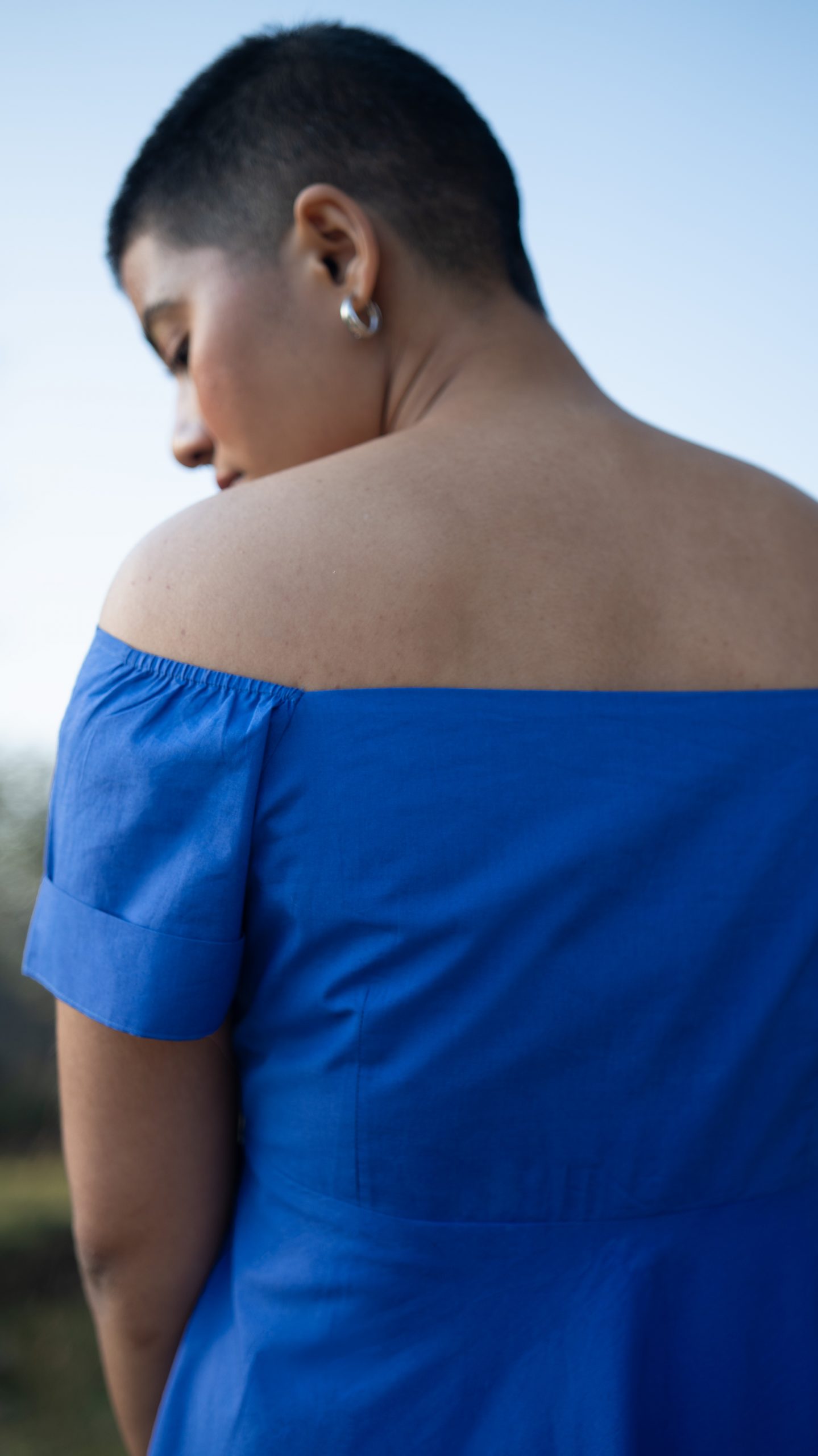 Butterfly Pea Butterfly Pea