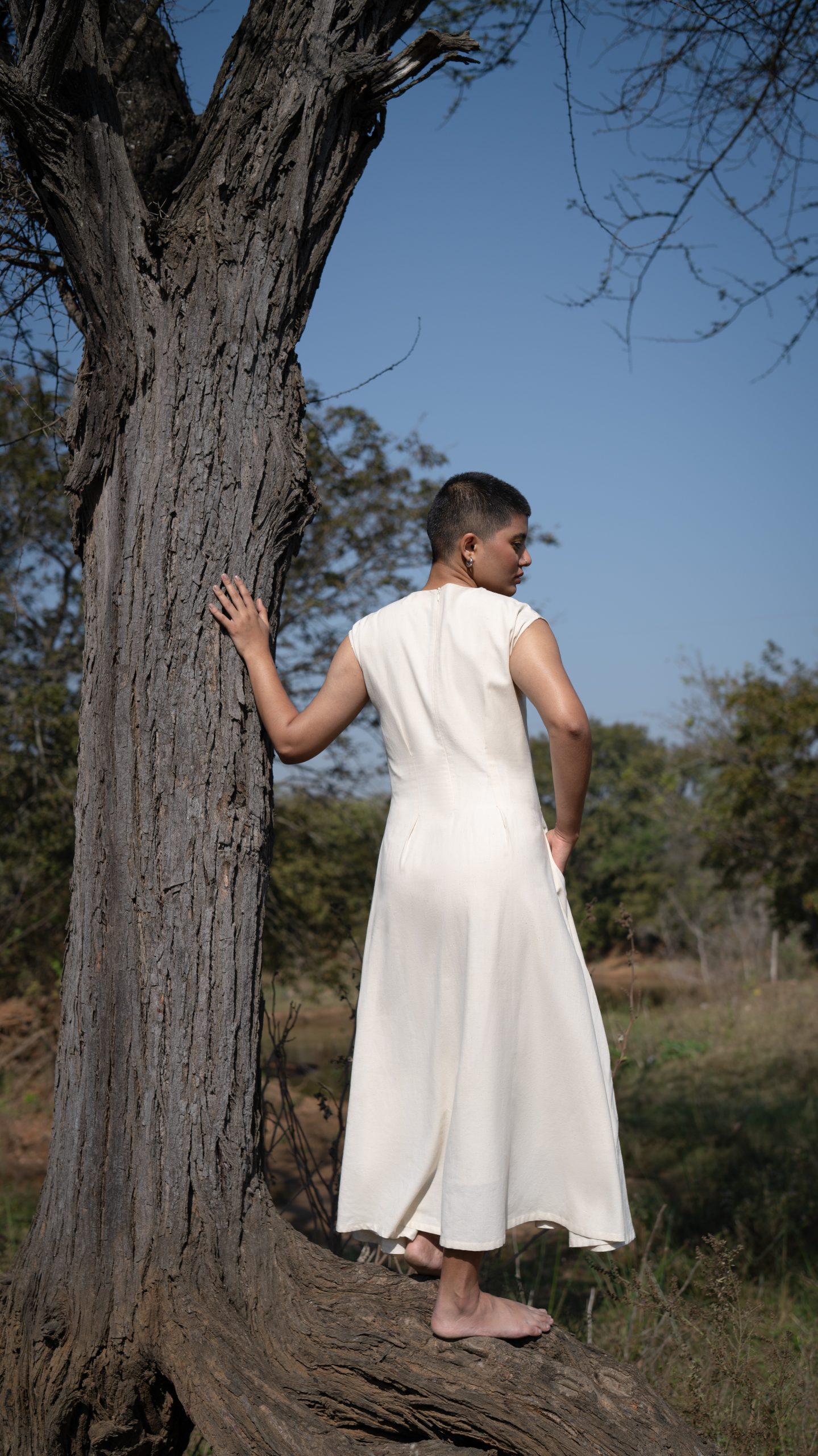 Chamomile Calm Chamomile Calm