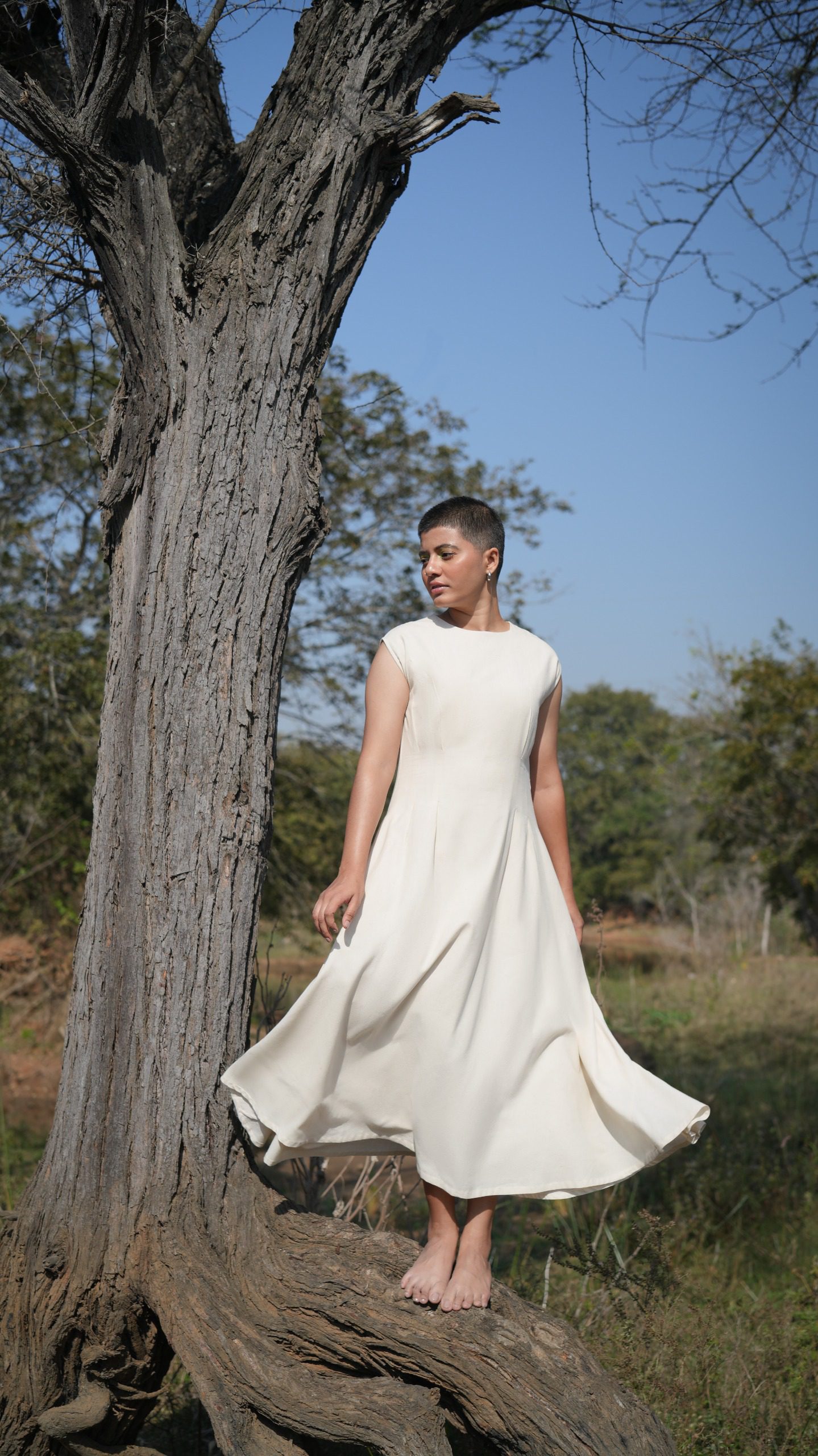 Chamomile Calm Chamomile Calm