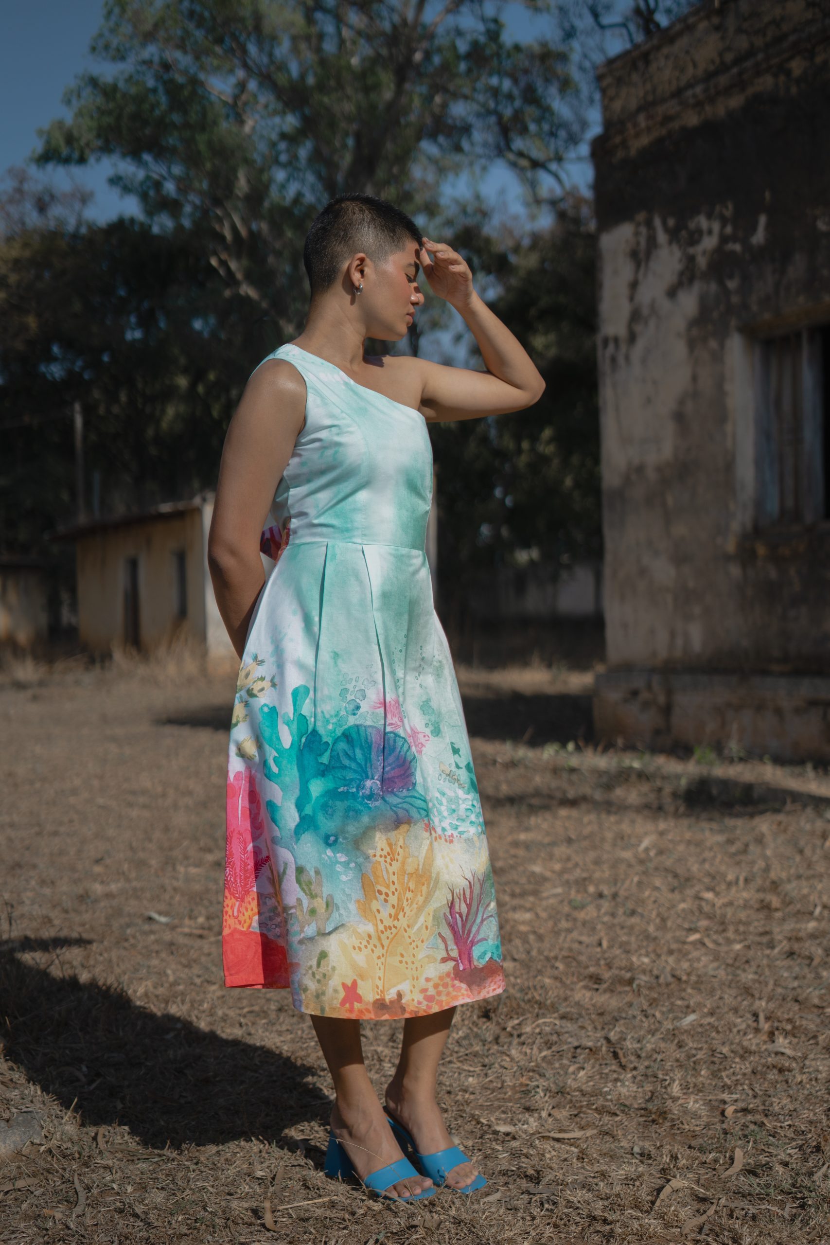 Reef Dance Reef Dance